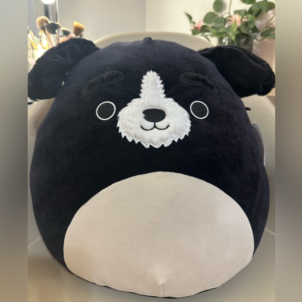 Squishmallows NWT Paulie